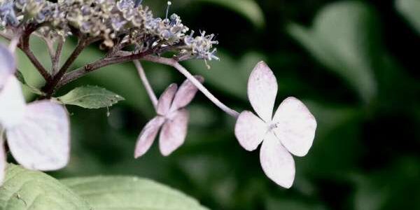 4E21562C-0E81-4FF4-B894-A7FCCE49B986