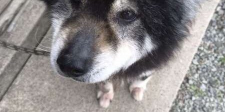 A6BEE19E-8B5D-432A-84E2-1ACE5C3ACA37