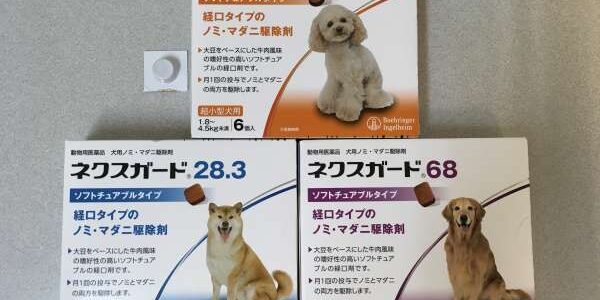 46CEE595-2753-46D5-B3F4-5E15AEA146B9