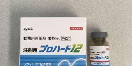 E49C0A24-1497-4228-9104-BBAD55032108