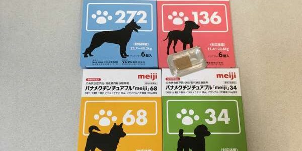 BB6E8C66-7DFB-48A1-A732-C519E8002126