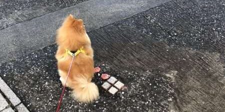 C1D69195-1AA0-4CC6-96D7-34724963A5FD