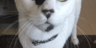 6EC2B543-8407-47D4-9820-6469B52B680B