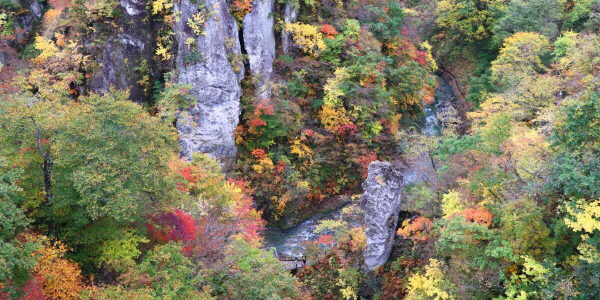 476365DC-8E99-4503-AA5E-2AEC835A7F50