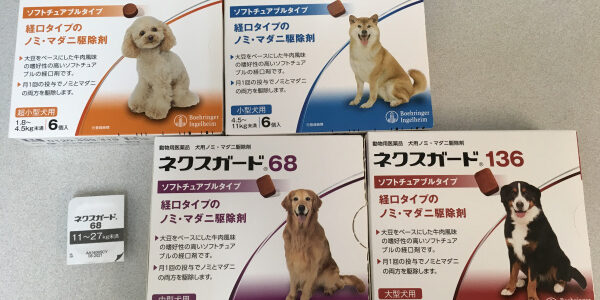 D1E85F69-4A54-4C25-8F0B-FF2A9B711B35