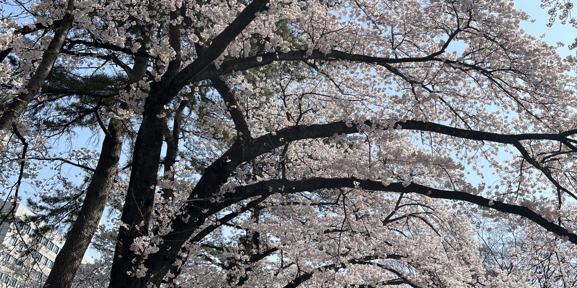 0D589B3B-F6C9-460E-BEEE-18A986292A8E