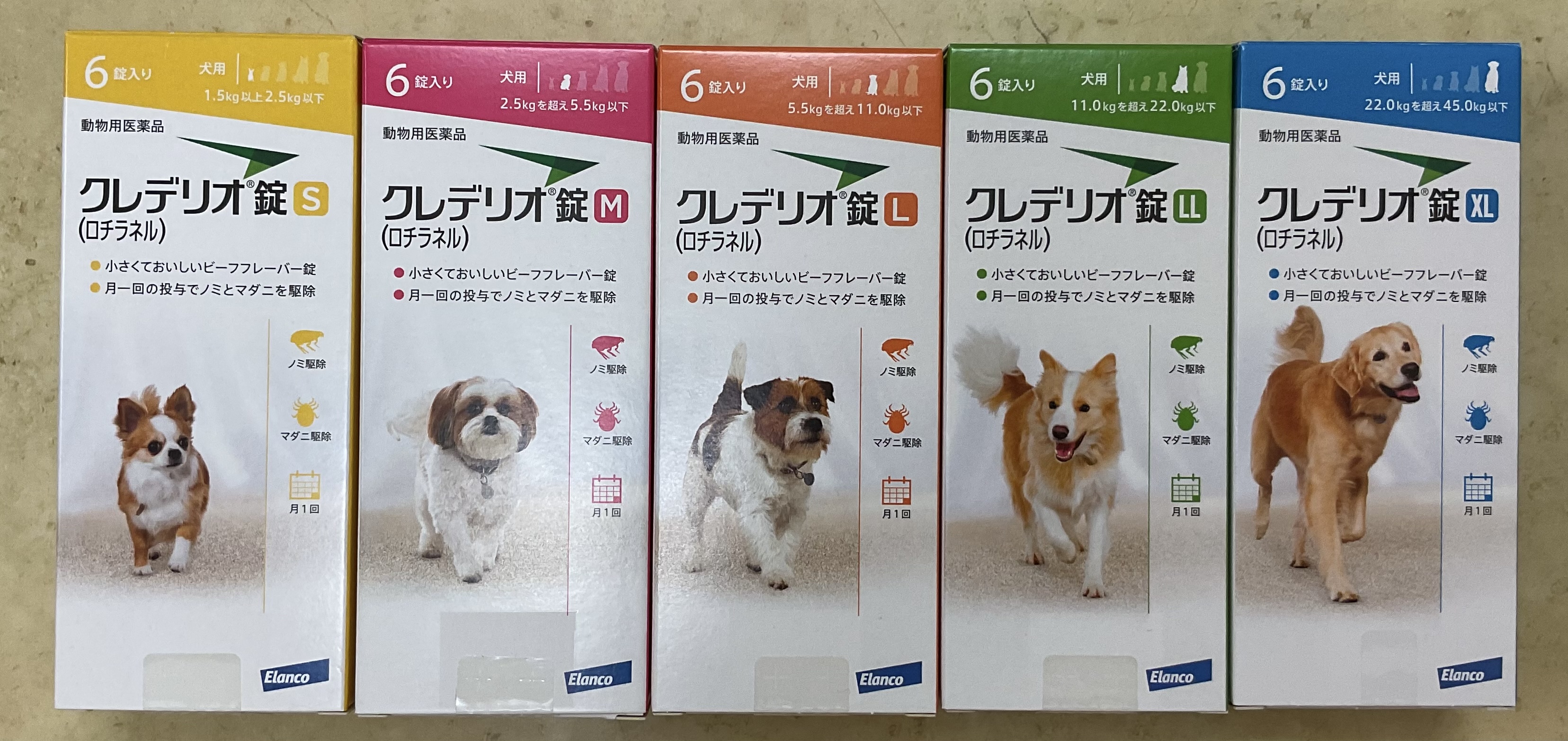 最新犬と猫の免疫学―疾患の予防・治療とそのメカニズム（傷みがあります） 今すぐ実践！救急消化器外科 一次対応術 | 株式会社 医療情報研究所